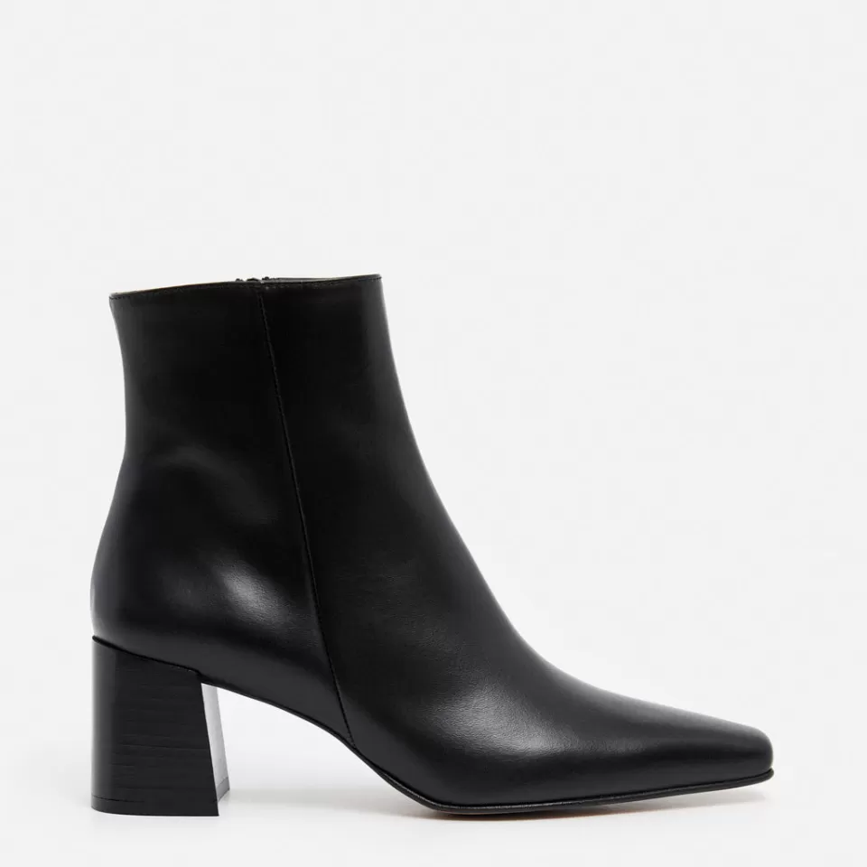 Flattered Gill Leather