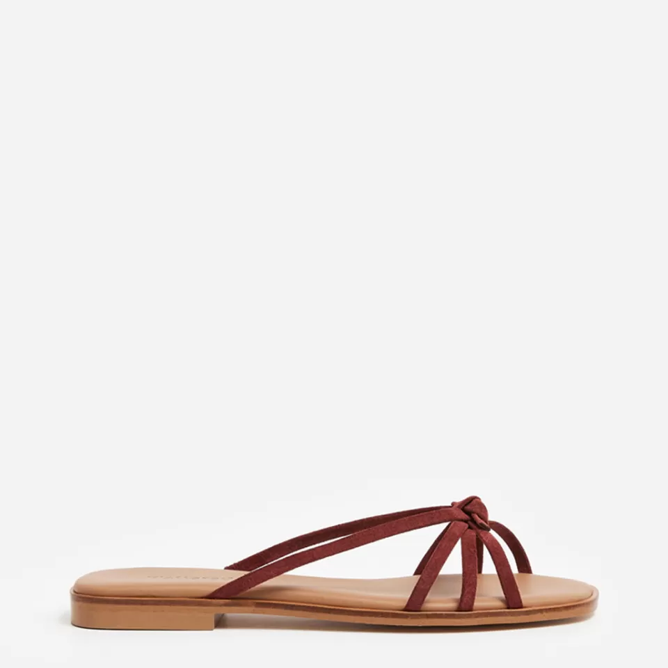Flattered Mimosa Suede