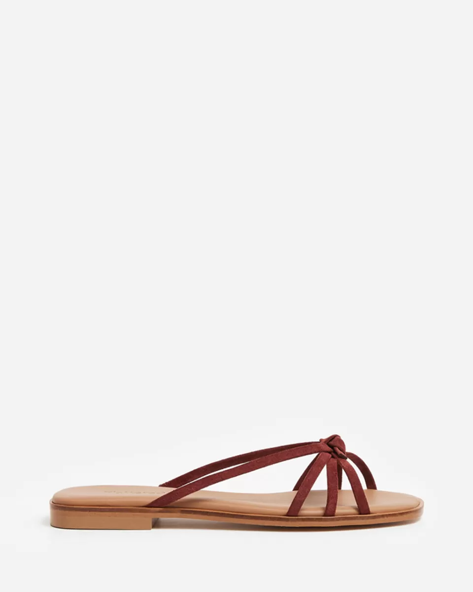 Flattered Mimosa Suede